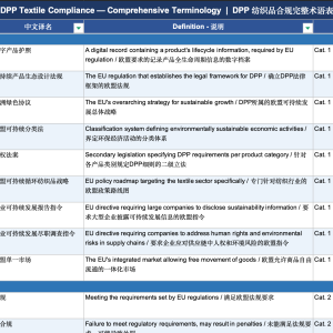 中英双语 DPP 术语表