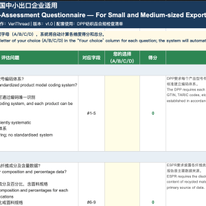 DPP 合规自评工具